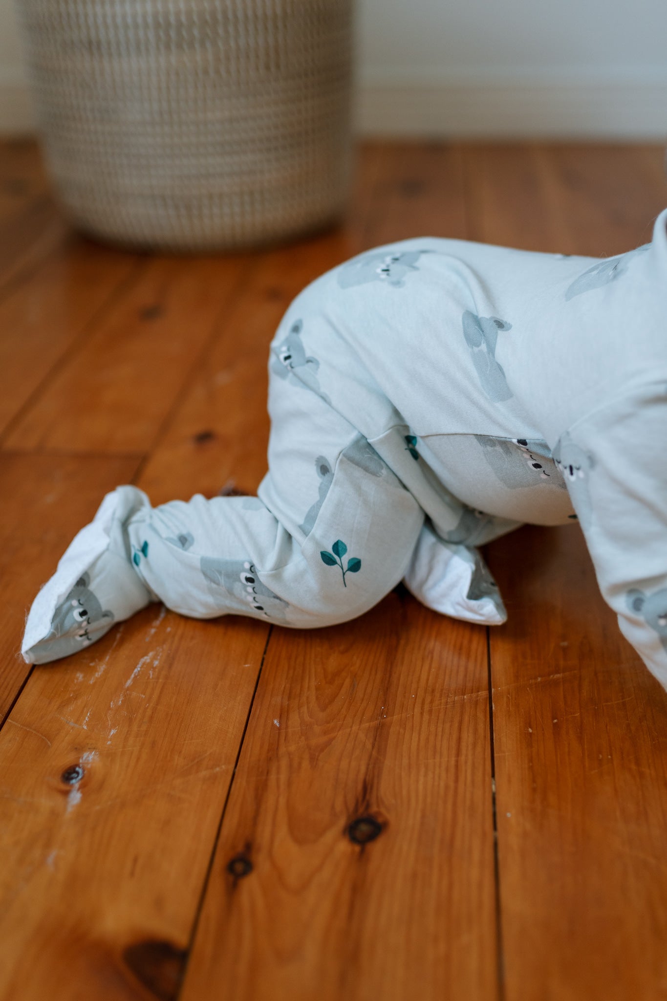Koala-fied Cutie - Organic Cotton